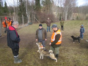 Ķirši Lauku pārbaude 2014.g