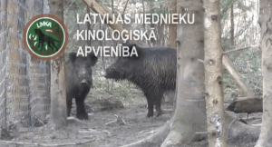 Screen Shot 2014-04-28 at 13.31.54