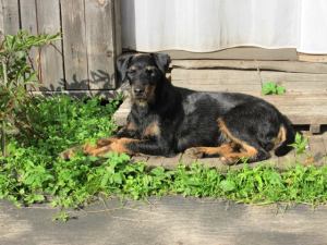 Doris. Rīga. Svetlana - 25996111.