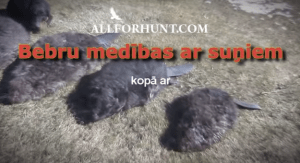 Screen Shot 2015-06-30 at 18.39.02