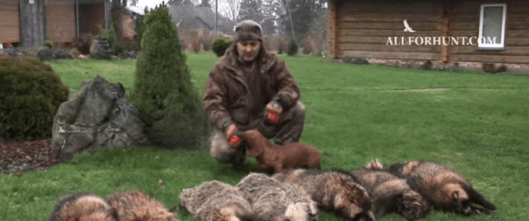 Screen Shot 2015-07-28 at 11.29.00