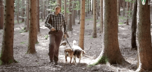 Screen Shot 2016-01-14 at 19.35.55