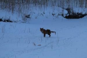 Foto: Māris Žukovskis