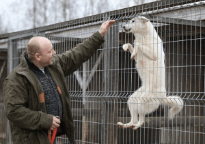 Screen Shot 2016-03-28 at 13.58.07