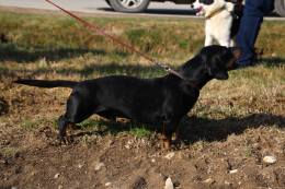 17902070_1380401028684440_175550254_o